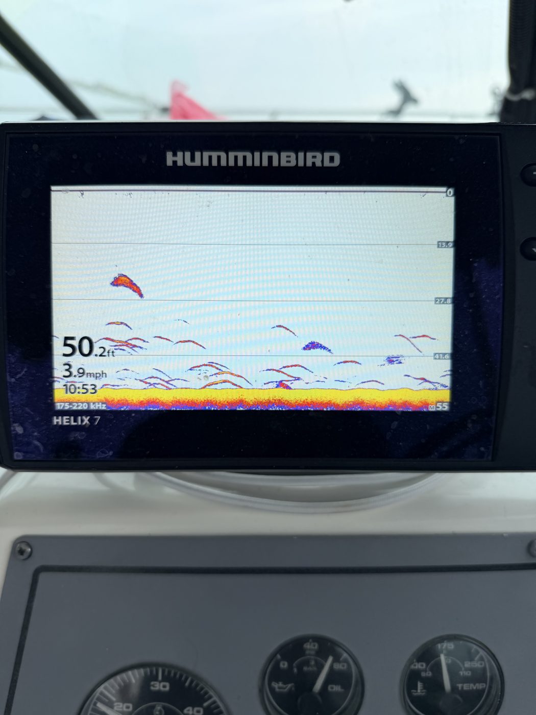 Humminbird Helix sonar screen showing walleye marks around 50 feet in the Central Basin of Lake Erie aboard Sir Walleye Charters