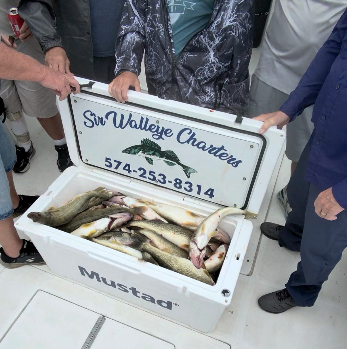Mustad cooler loaded with a limit of Central Basin Lake Erie walleye aboard Sir Walleye Charters out of Lorain, Ohio