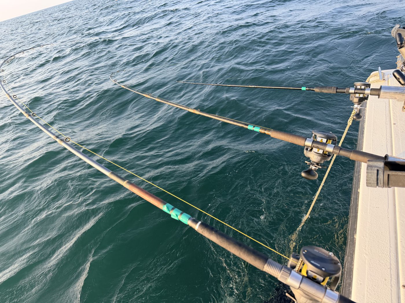 Figure 2 - a Dipsy Diver fished horizontally off the gunwale of the Sir Walleye Charters boat on Lake Erie