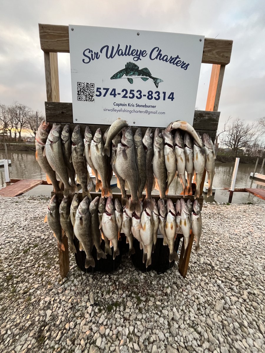 A big limit of Lake Erie walleye hanging under the Sir Walleye Charters sign